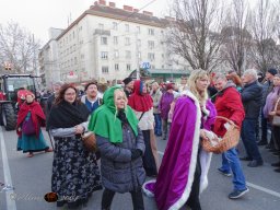 Simmeringer Faschingsumzug 2025